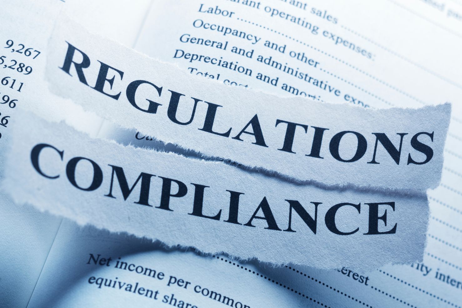 ESG Regulations in Thailand: Why Compliance Matters More Than Ever